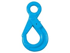 G100 EYE SELF LOCKING HOOK